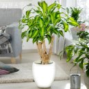 중앙지하상가 4번입구 이미지