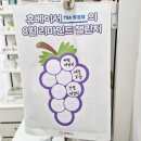 태양약국 이미지
