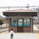 아리랑열차 연계형 시티투어2 | 아기와 함께 떠나는 정선 기차여행, 정선시티투어버스, 아리랑열차