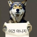 스탠딩은 계획대로 되지 않아 / mma2024 후기 / 멜론뮤직어워드 브리즈블로그