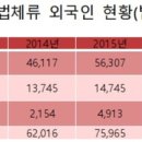 급격한 불법 체류자 증가를 방치 묵인하는 정부 이미지