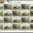 DMZ의 자연. 시리즈3 이미지
