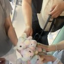 개쩐다뽑기 이미지