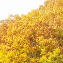 이원보건지소 이미지