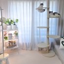 오로라펫 | 고양이 캣폴 추천, 예쁘고 튼튼한 가르르 오로라 diy 캣타워