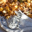 대지세탁소 이미지