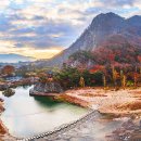 &#34;이 길이 왜 인기 명소인지 알겠네&#34;... 사계절 내내 아름다운 트레킹 코스 이미지