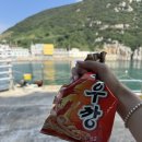 홍도가 | [2025 추석여행 목포-흑산도-홍도] #10 안하면 후회할 홍도 유람선 투어 후기