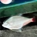 대천사륜바이크 이미지