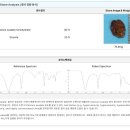 해맞이 동물병원 이미지