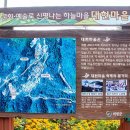 평촌리(하) 이미지