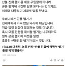 게임을하는사람들 네이버블로그