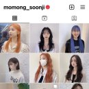 메르시모몽 이미지