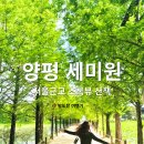 양평 세미원 배다리 산책 후기 ㅣ 연꽃 실시간 현황, 서울근교 초록뷰 양평 여행코스