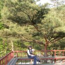 관광농원가든 이미지