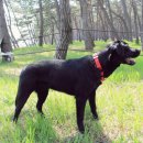 고기집깜밥 이미지