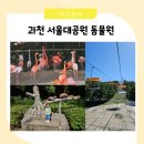 과천시립문원도서관 | 아이랑 과천 서울대공원 동물원 코끼리열차 리프트 패키지 식당 주차 동선 가을 나들이 기록