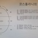 코스톨라니의 달걀 이미지