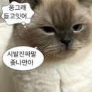 오산마트 이미지
