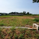 대현2호 이미지