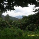 남산공원 이미지