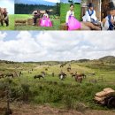 재현목장 이미지