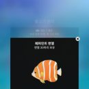 엔젤퀸 이미지