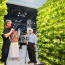 단지농장 이미지