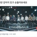 강아지 친구 이미지