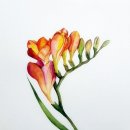 샛별미술교습소
