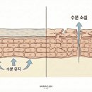 온산의원 | 유황비누 | 그다지 권하지 않는 이유와 고민별 대안