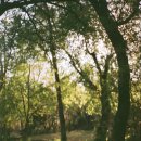 하이메 스테이 이미지