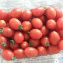 김재근농장 이미지