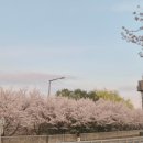 화성국민주택 경로당 | 화성시 지역 국민임대주택 신청 후기 / 1순위 신청, 2순위 신청 가능 여부 / 1순위 신청 현황, 통계...