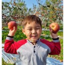 성만농장 이미지