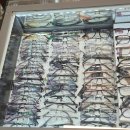 아이앤글라스 이미지