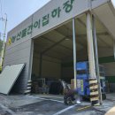 대산농협 부항지점 이미지