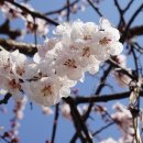 본마을4길 6 이미지