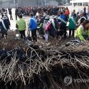 호남대추유통 이미지
