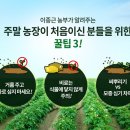 이종근 농장 이미지