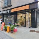 신대방삼거리 이쁜 꽃집 담장 아래 과꽃 솔직 후기