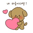 몽쉐리 이미지