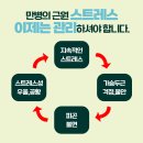 테아닌 스트레스 영양제 제대로된 제품 고르는 방법(feat.효능 작용기전, 부작용)