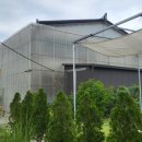 석도 경로당 이미지