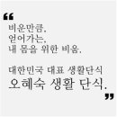 솔향지사