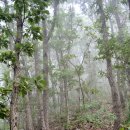 사룡리 마을회관 | [가평 53산] 곡달산, 신선봉(울업산) 연계 산행_2016.09.16(금, 추석연휴)
