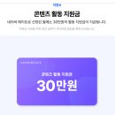 네이버메이트 선정 후기, 활동비와 혜택 직접 확인해봤어요