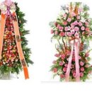 유정화원 이미지