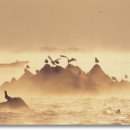 어부의노래 이미지