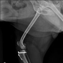 튼튼동물의료센터 이미지
